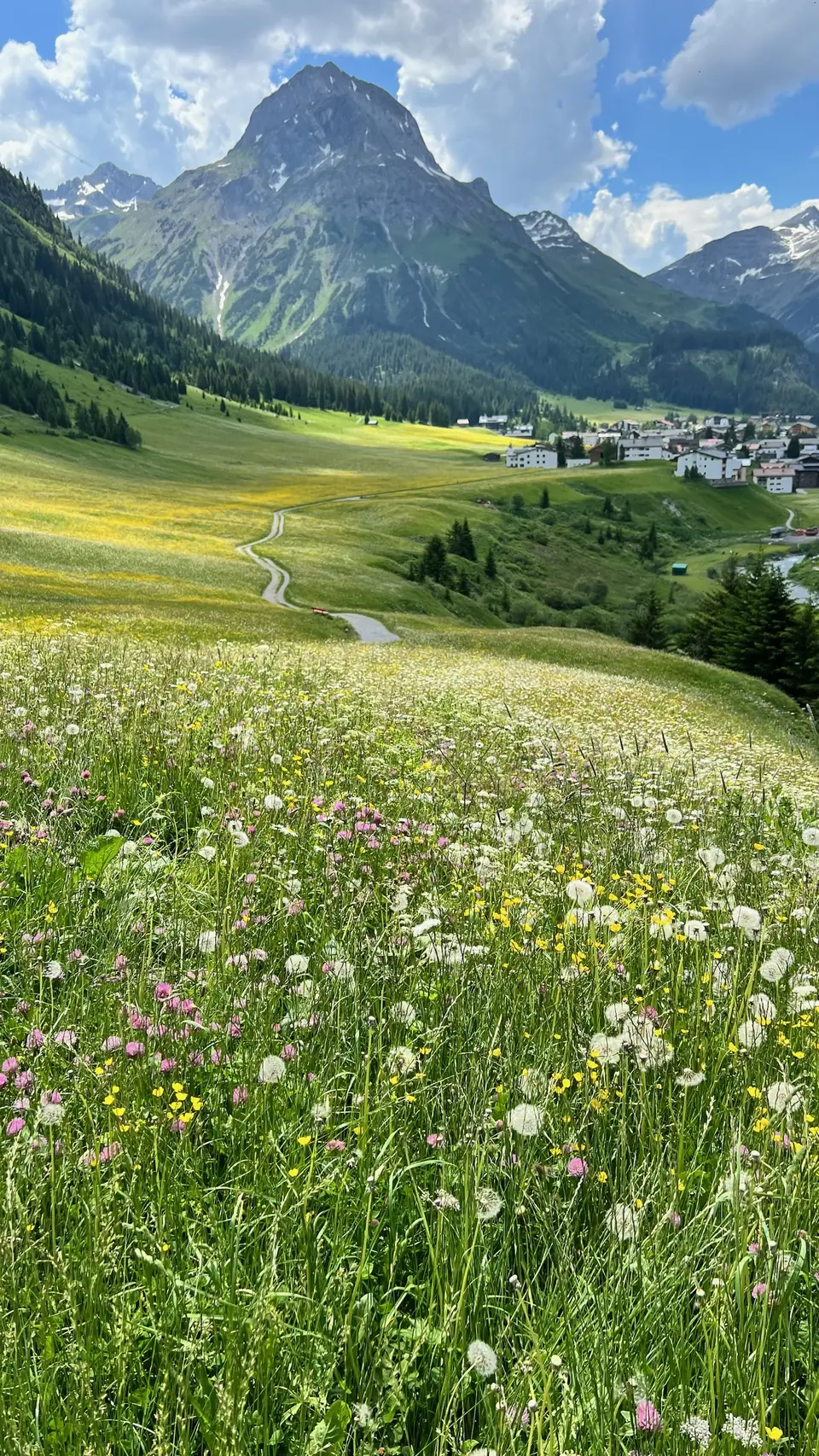 Blumenwiese vor einem Bergdorf und markantem Gipfel