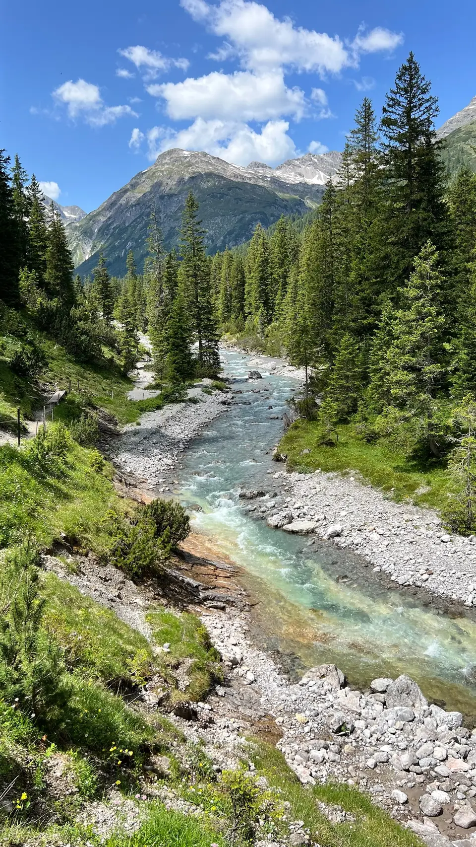 Klarer Gebirgsfluss zwischen Kiesbänken und Nadelwald